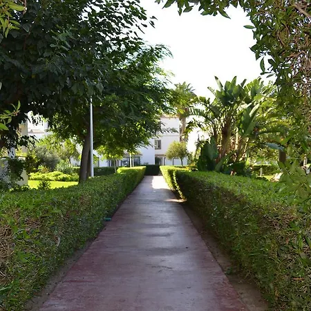 Apartamento Multiservicios Arg Torrox